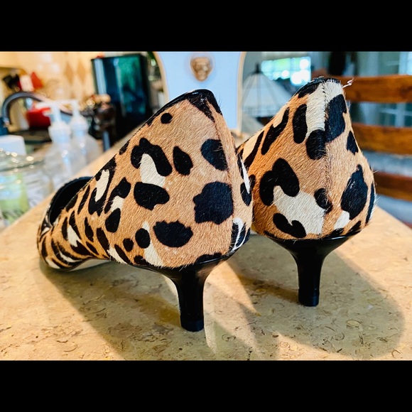 David Charles Heels - Picture 2 of 7